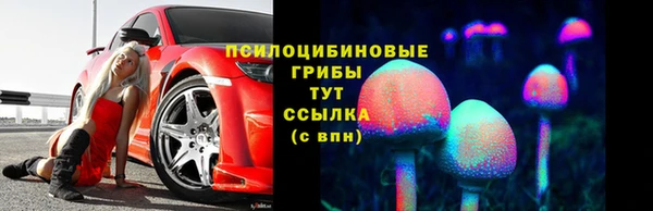 прущие крисы Козловка