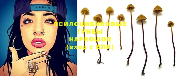 прущие крисы Козловка