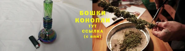шишки Корсаков