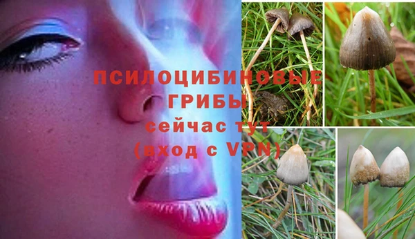 MDMA Козельск